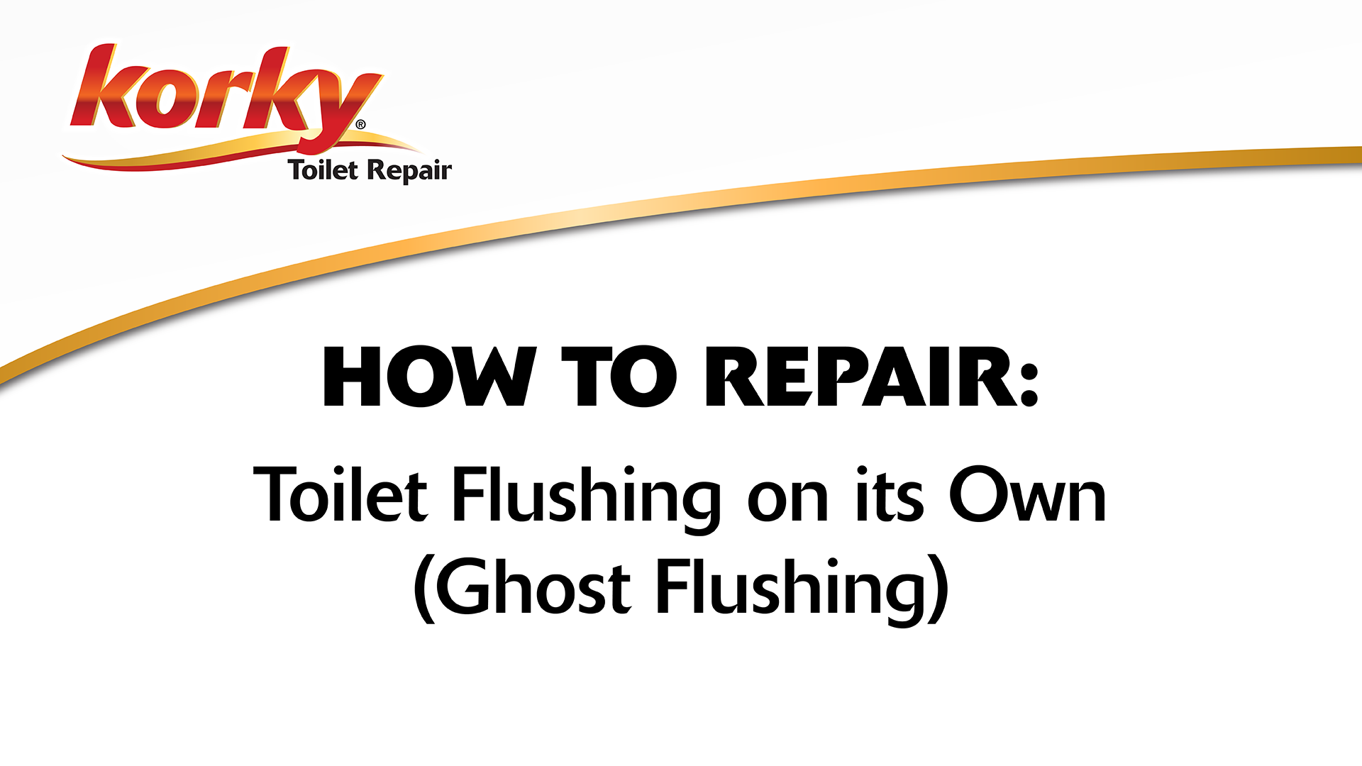 Toilet Flushes by Itself? Ghost Flushing Korky